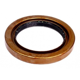  RETENTOR CUBO RODA TRASEIRO CAMINHÕES VW FORD 02485BY